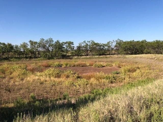 202 acres in Fisher County gallery image 4