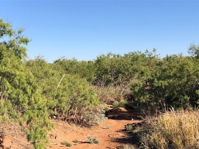 202 acres in Fisher County featured view