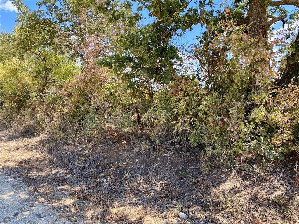 5 acres in Eastland County gallery image 2