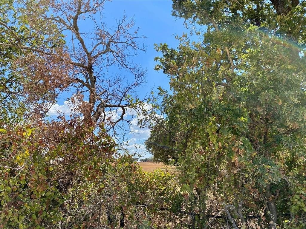 5 acres in Eastland County