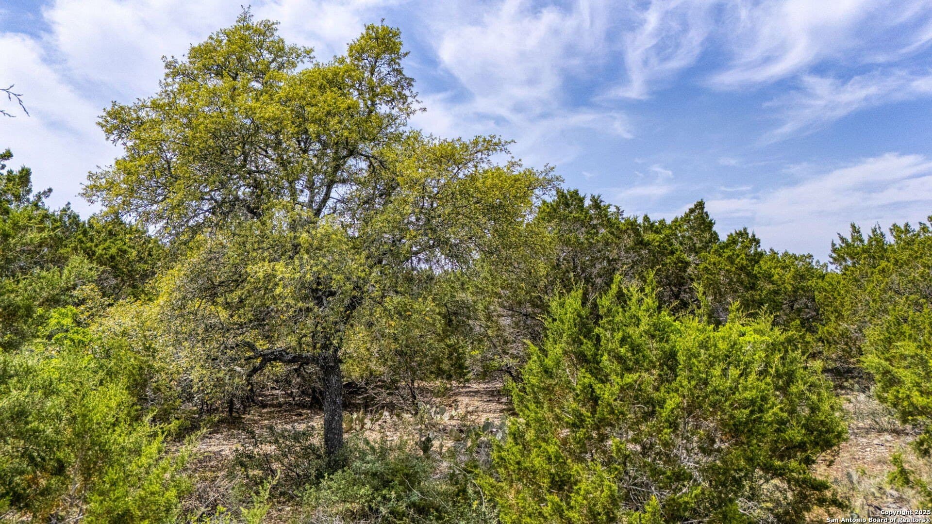 1.24 acres in Comal County - photo 16