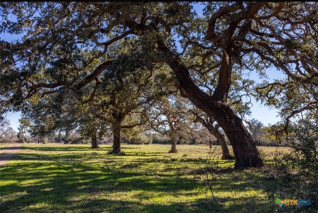 157.46 acres in Jackson County gallery image 3