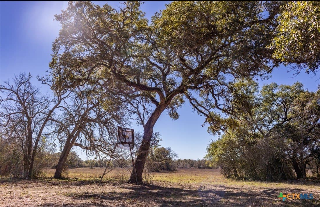 157.46 acres in Jackson County - photo 28
