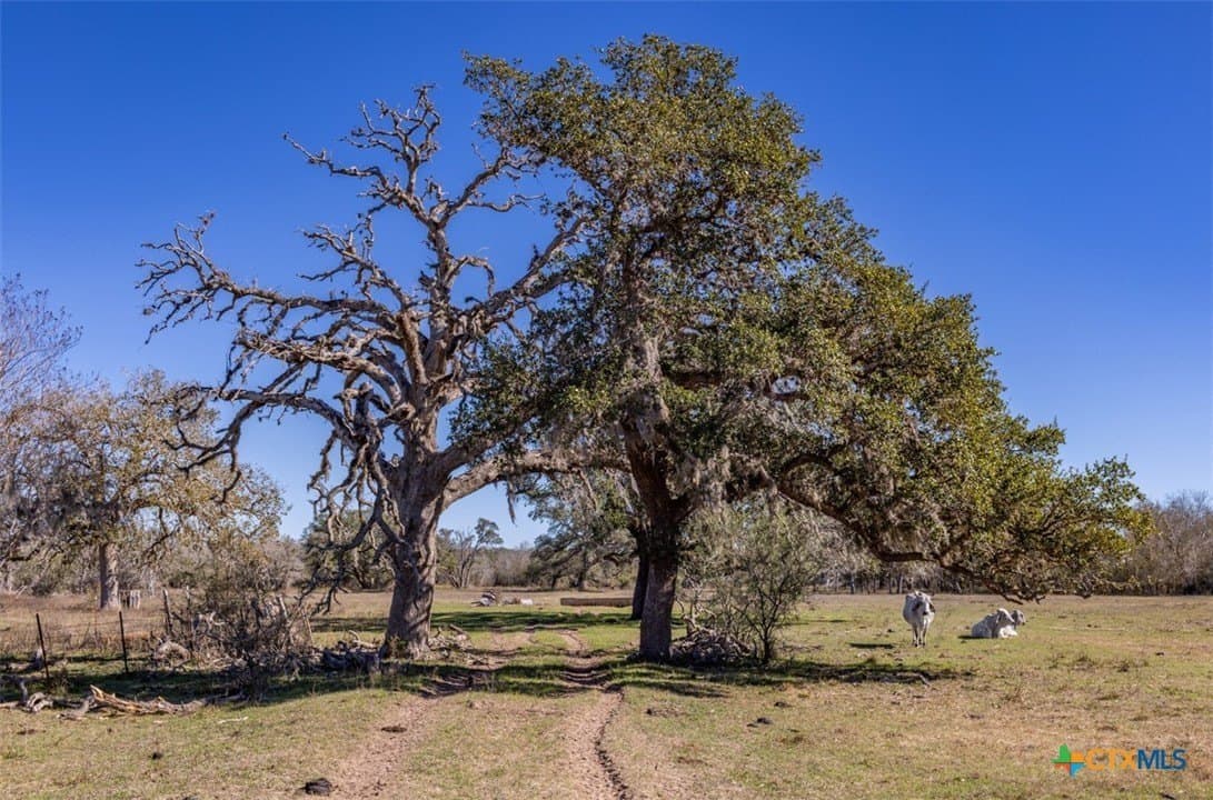157.46 acres in Jackson County - photo 16