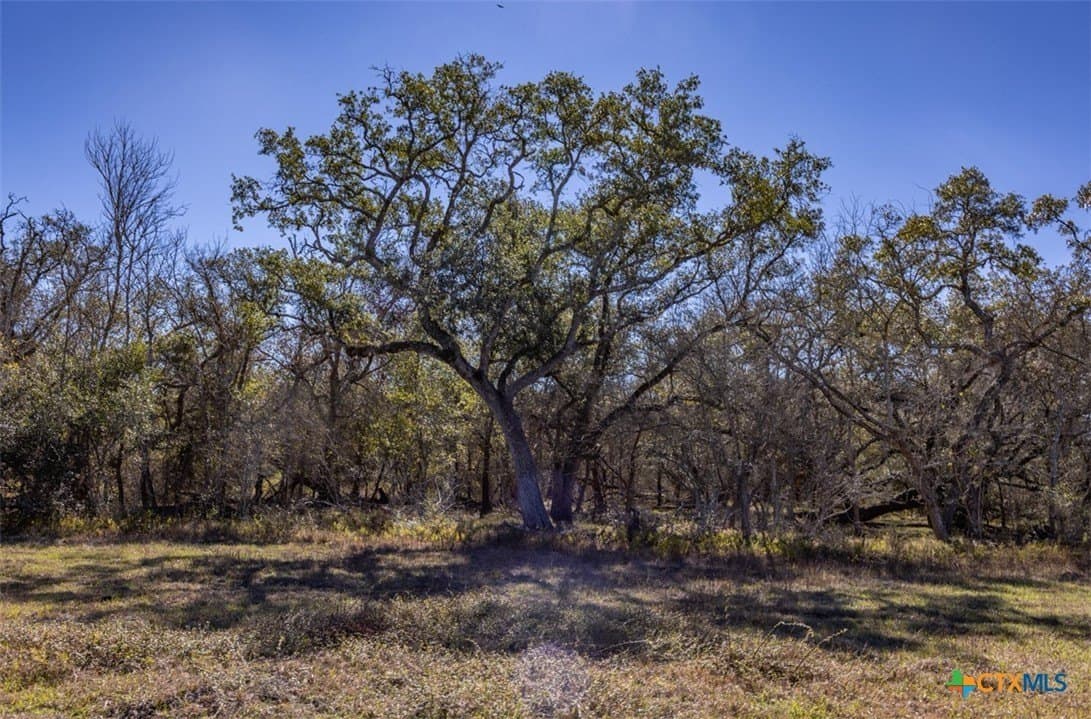157.46 acres in Jackson County - photo 25