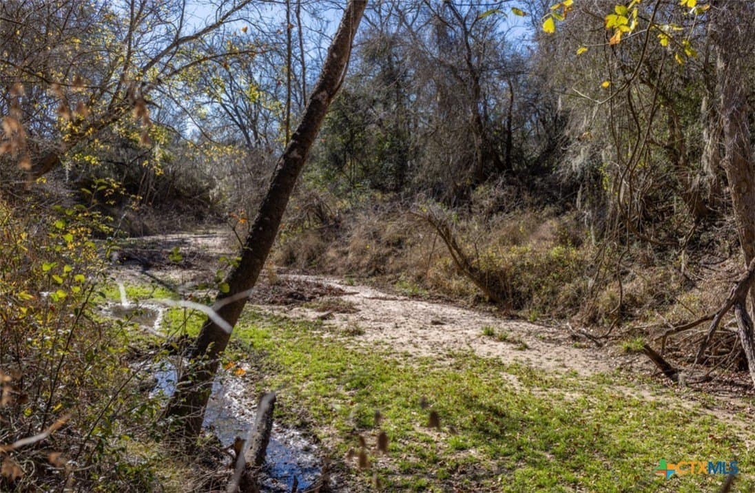 157.46 acres in Jackson County - photo 19