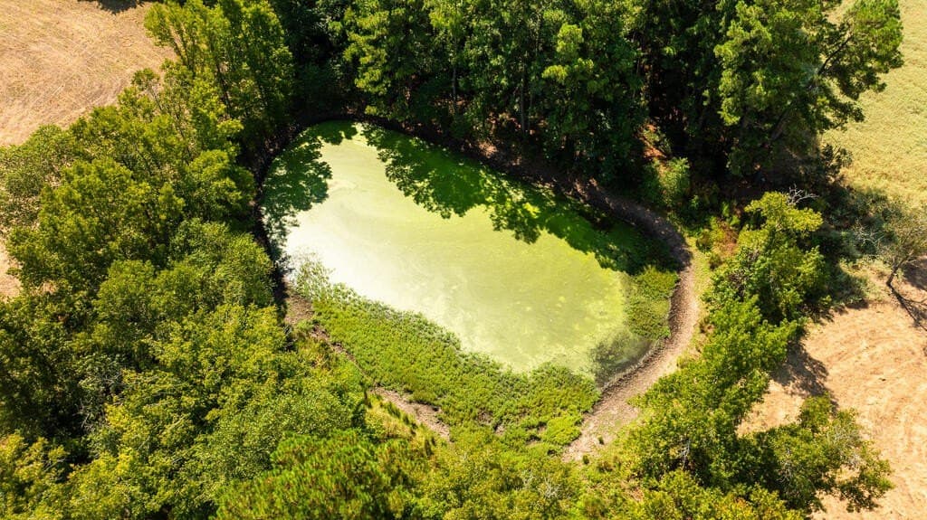 108 acres in ANDERSON County - photo 18