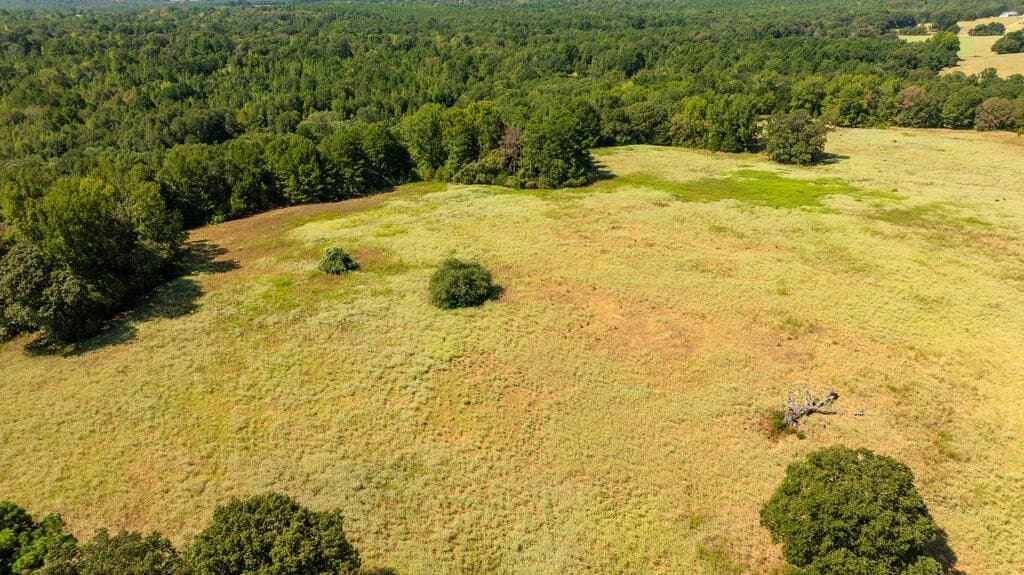 108 acres in ANDERSON County - photo 12