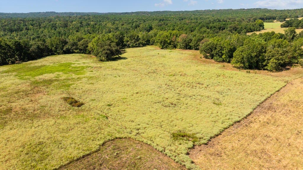 108 acres in ANDERSON County - photo 9