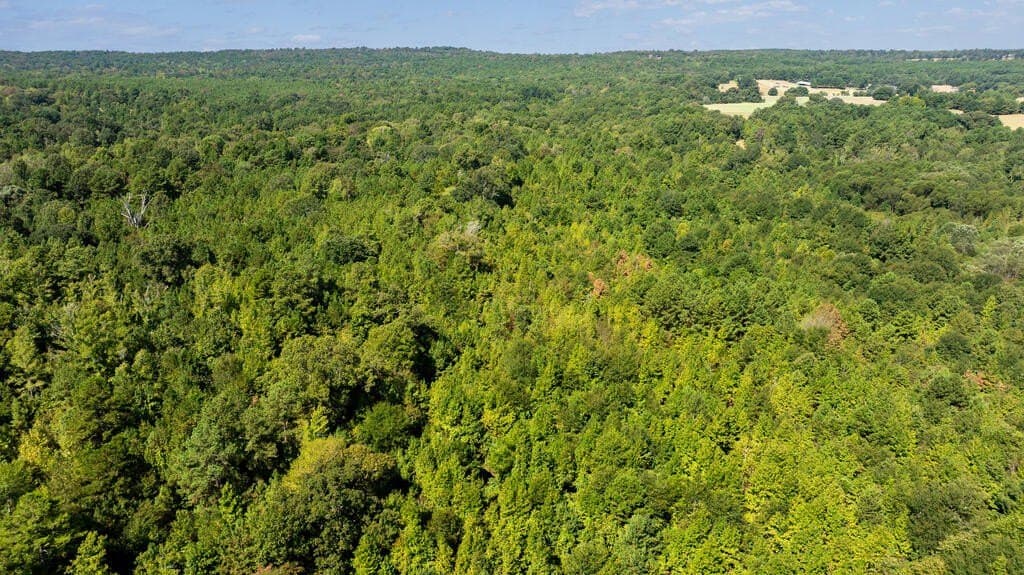 108 acres in ANDERSON County - photo 19
