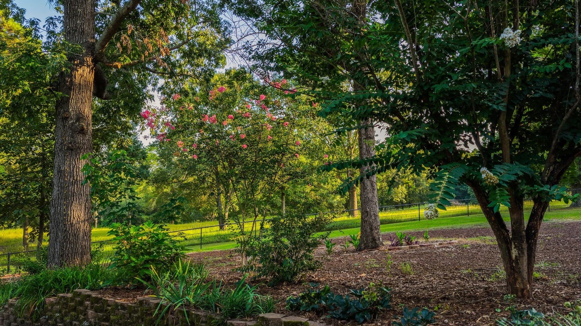 12.75 acres in Shelby County - photo 34