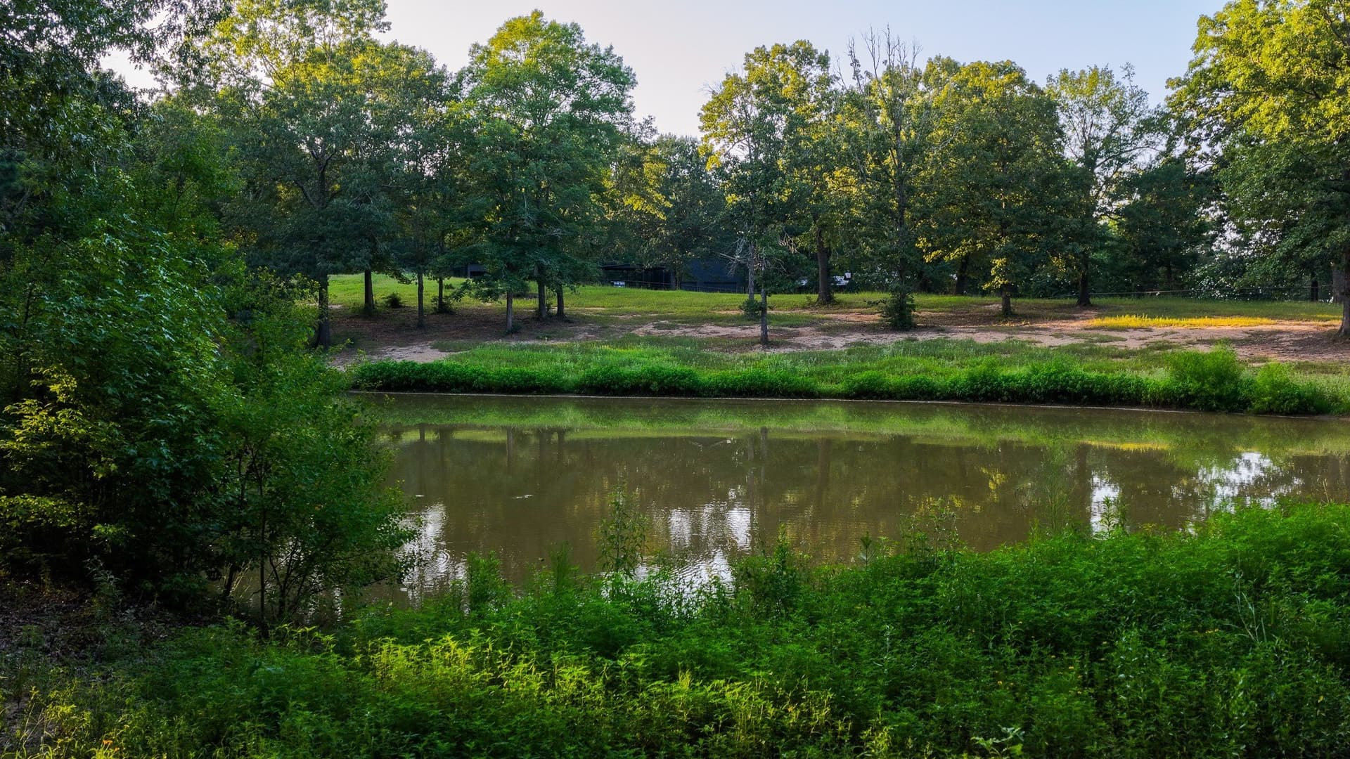 12.75 acres in Shelby County - photo 36