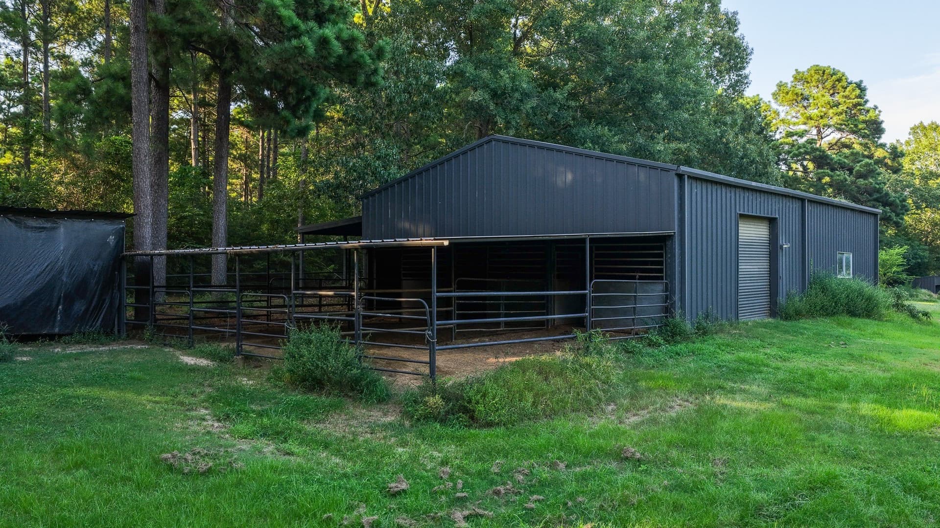 12.75 acres in Shelby County - photo 31