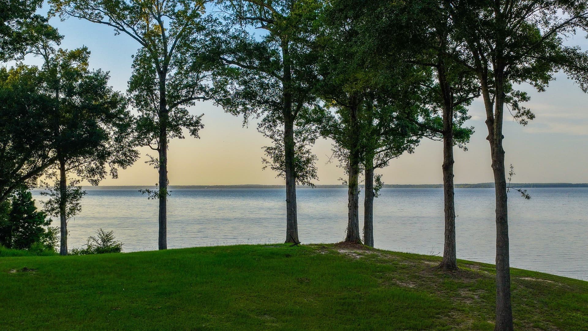 12.75 acres in Shelby County - photo 3