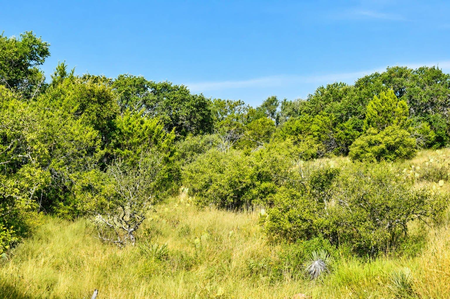 707 acres in McCulloch County - photo 8