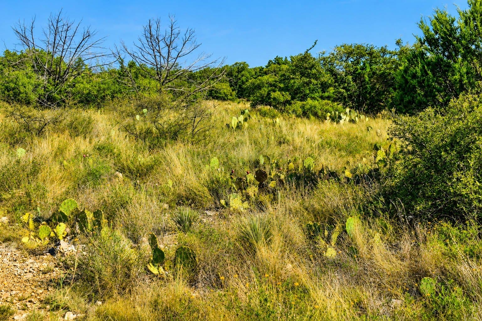 707 acres in McCulloch County - photo 12