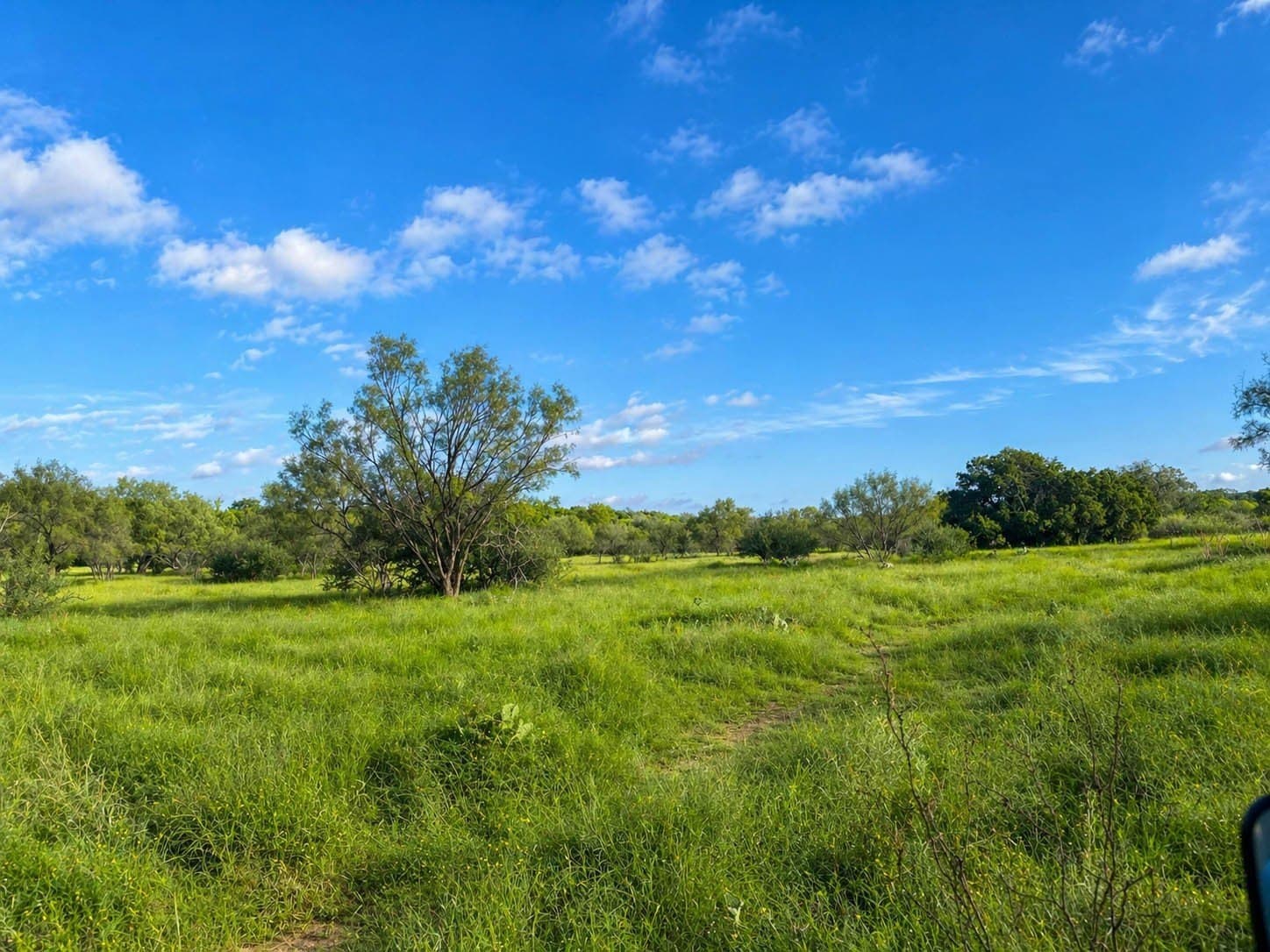 707 acres in McCulloch County - photo 14