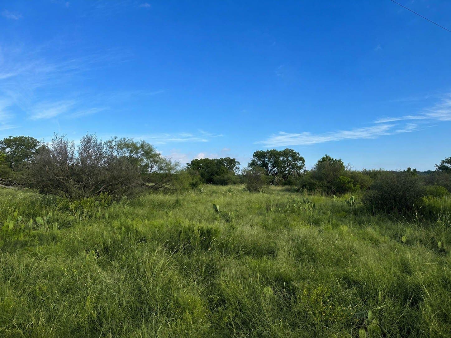 707 acres in McCulloch County - photo 16
