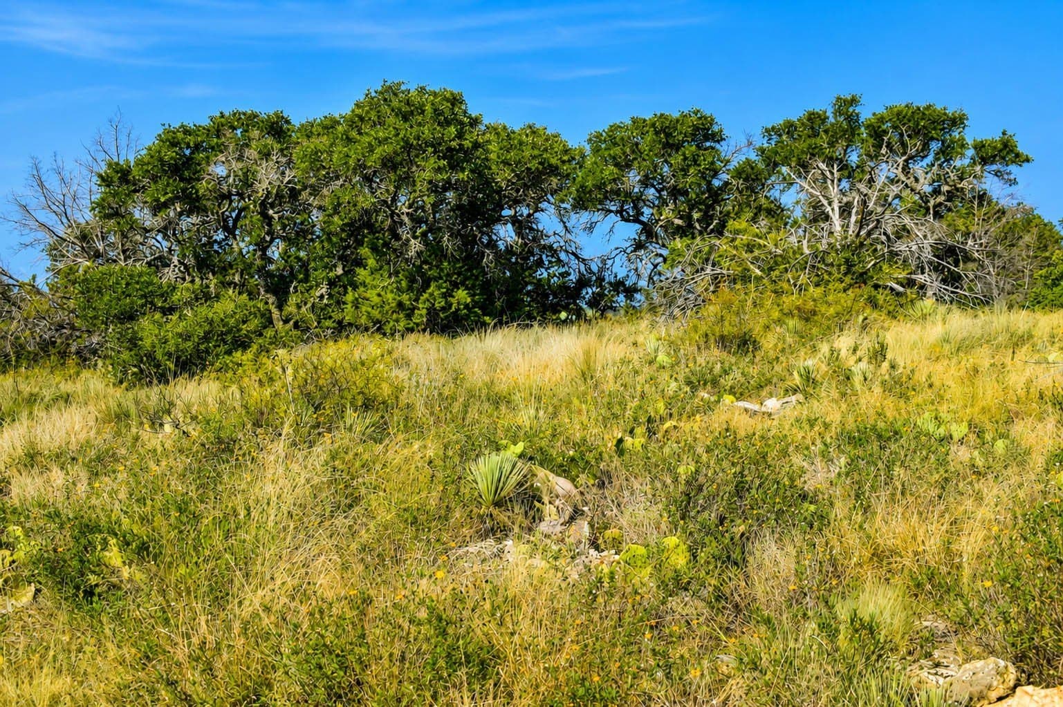 707 acres in McCulloch County - photo 10