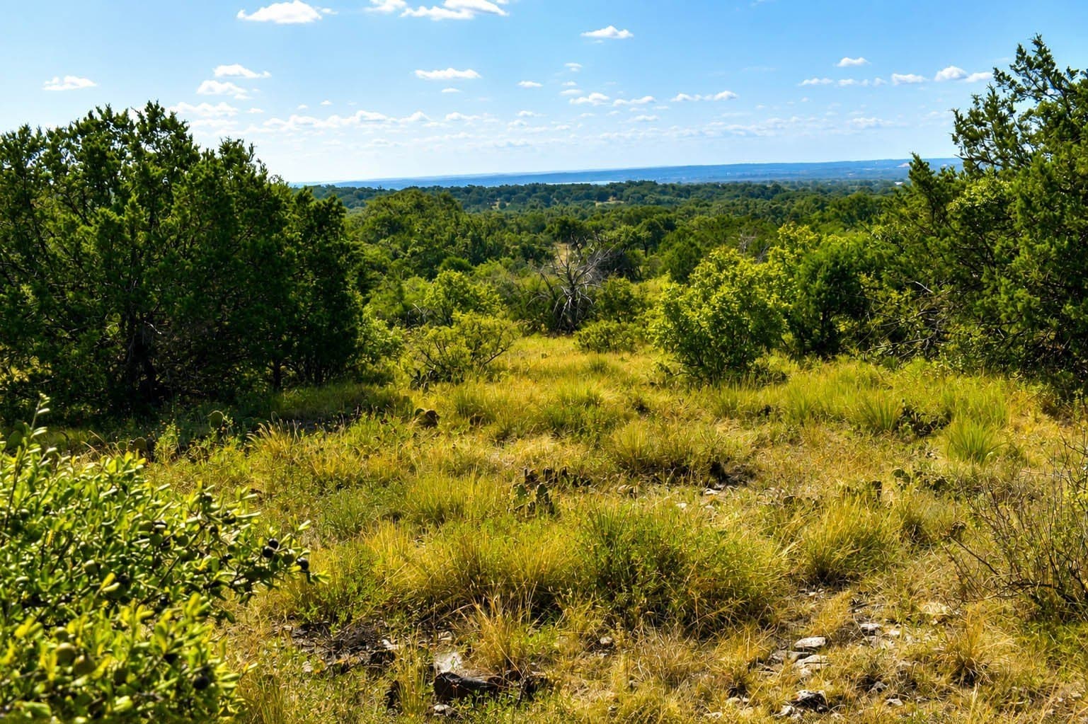 707 acres in McCulloch County - photo 4