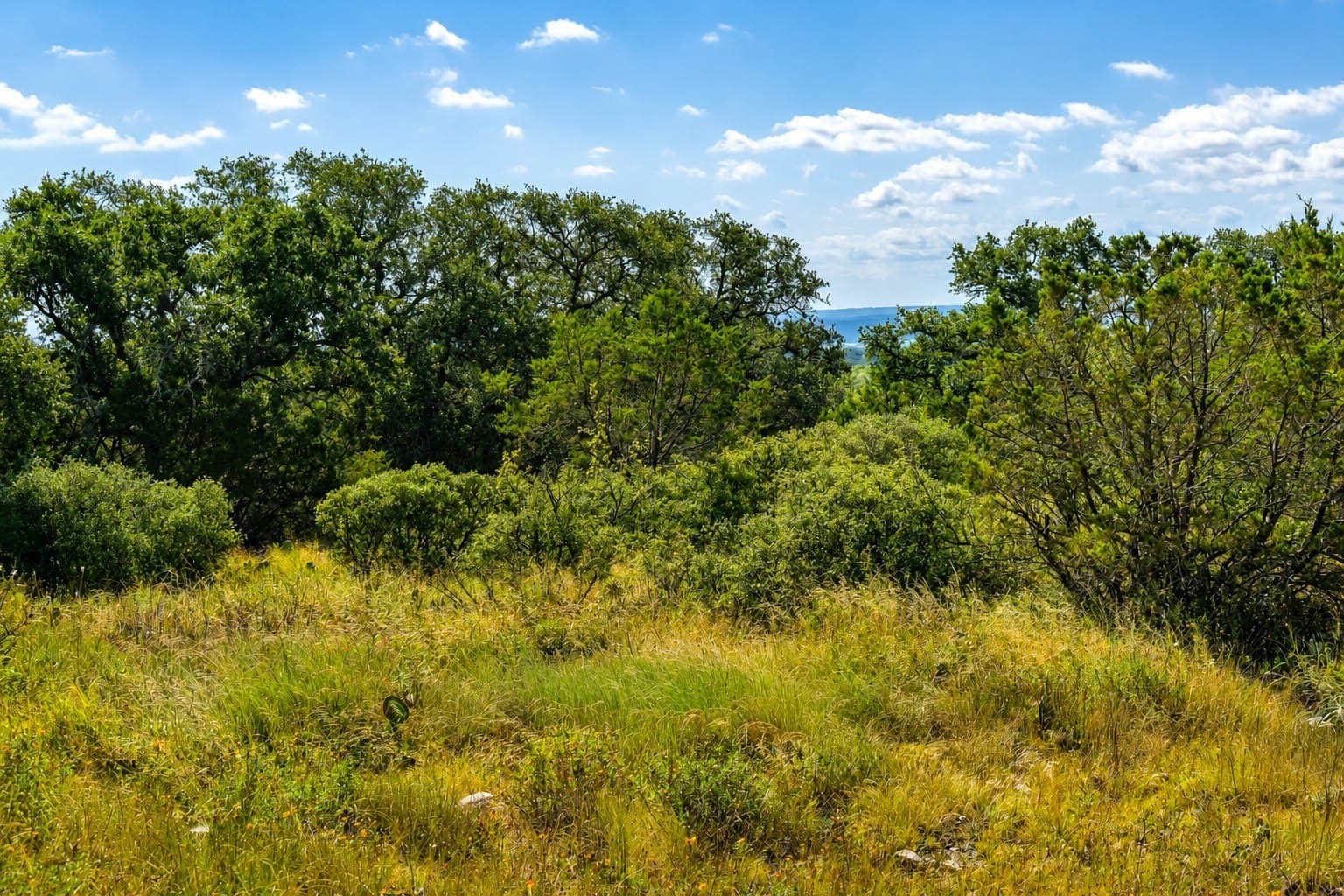 707 acres in McCulloch County - photo 9