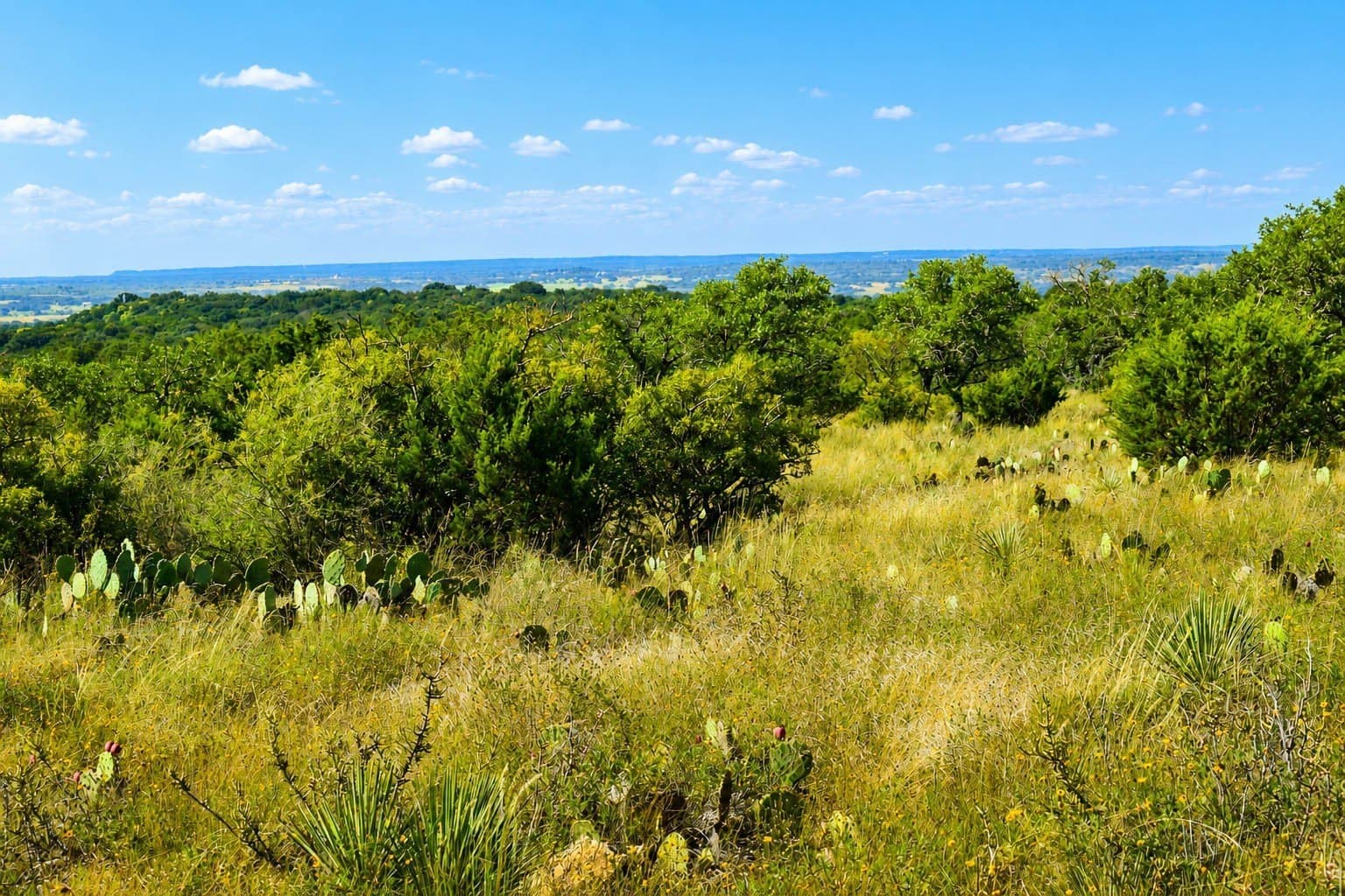 707 acres in McCulloch County - photo 3