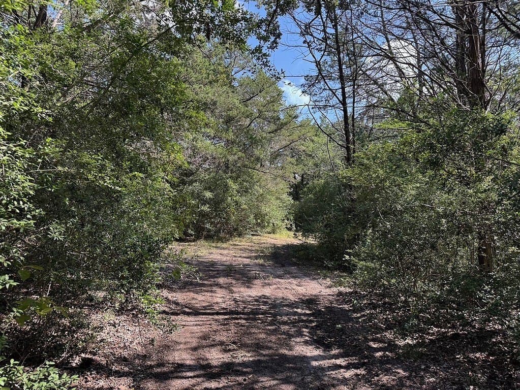 35.59 acres in Washington County featured view