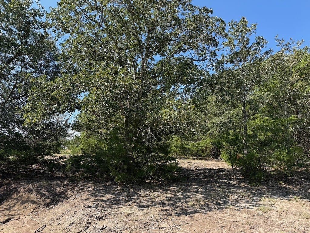 35.59 acres in Washington County gallery image 3