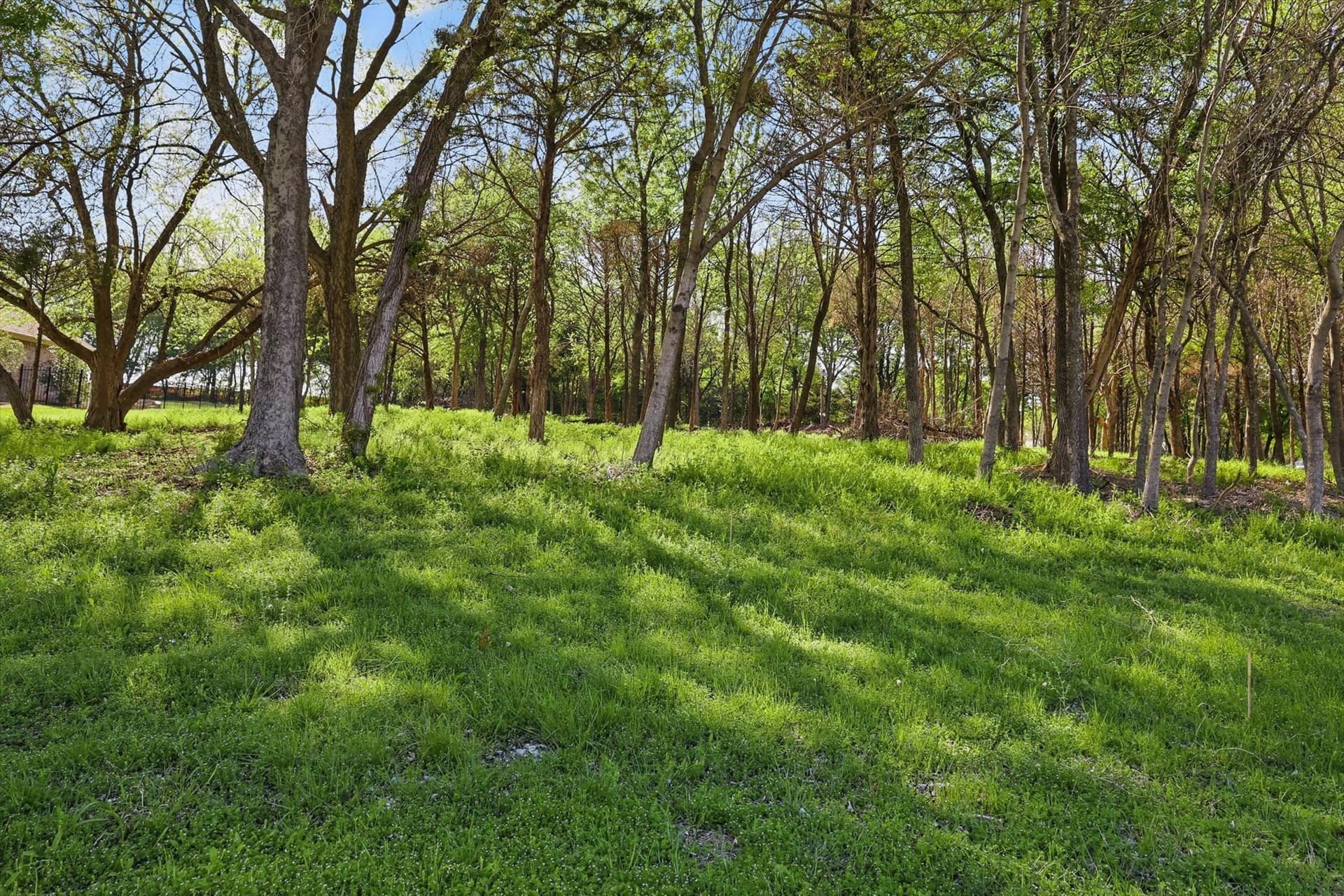 1.61 acres in Collin County gallery image 2