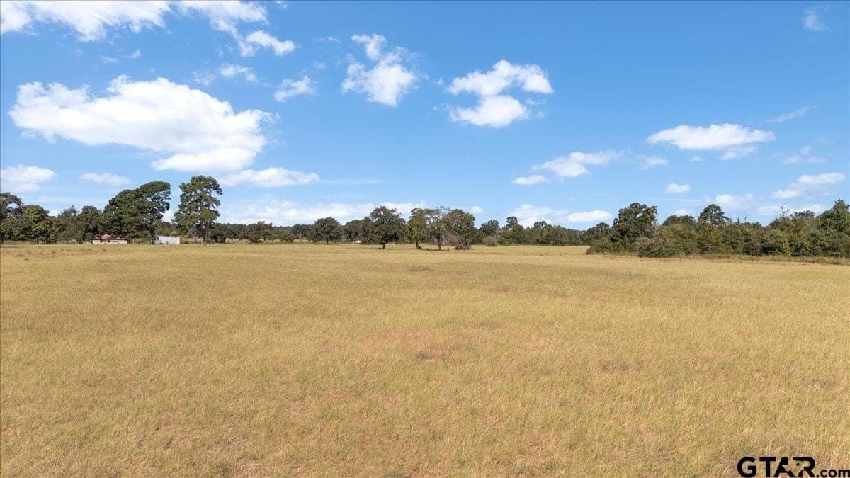 46.19 acres in Anderson County - photo 7