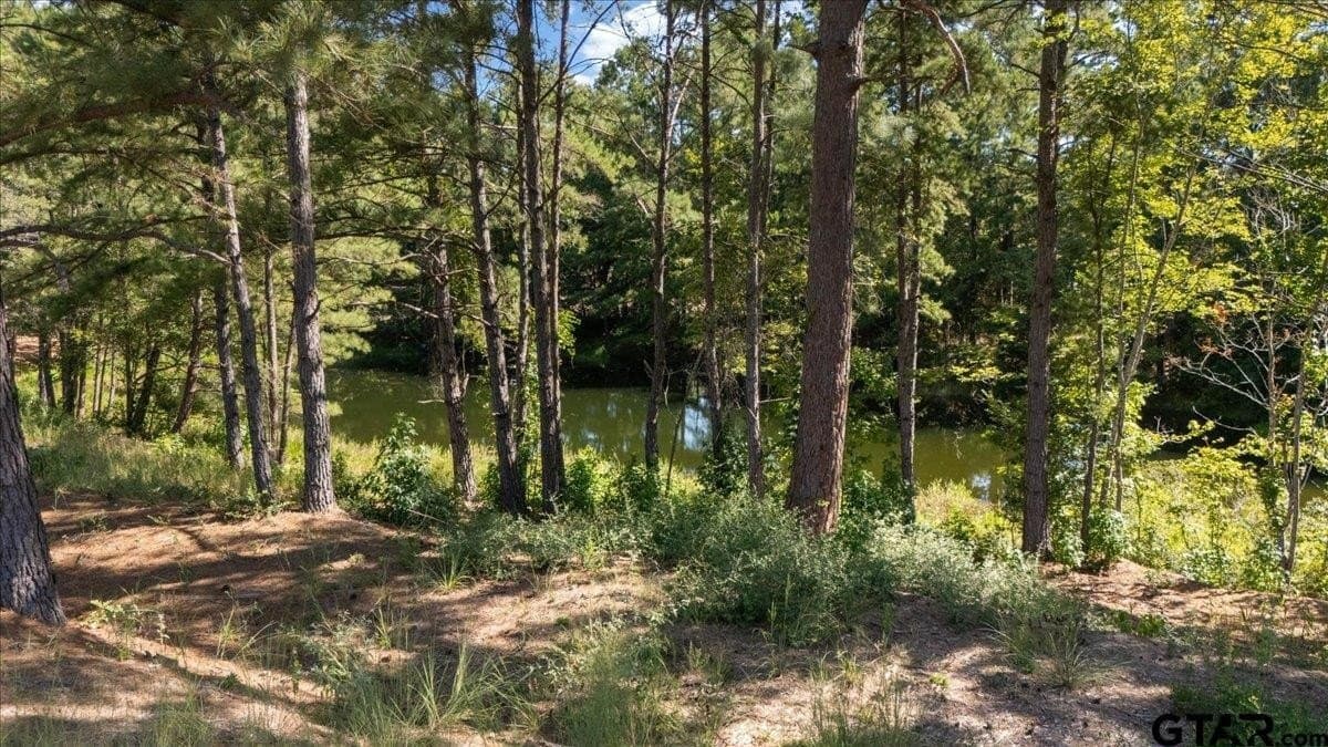 46.19 acres in Anderson County - photo 5
