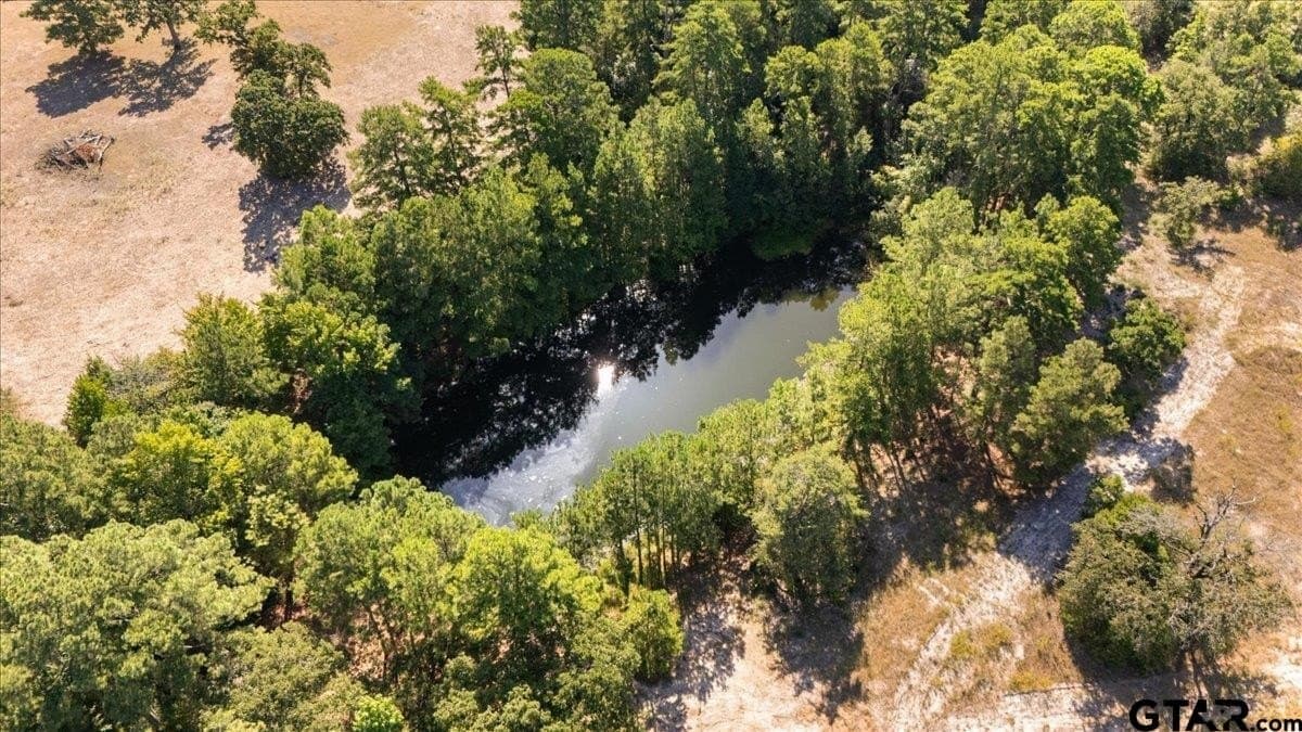 46.19 acres in Anderson County - photo 4