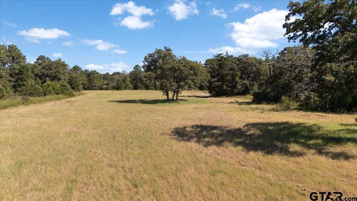 46.19 acres in Anderson County - photo 6
