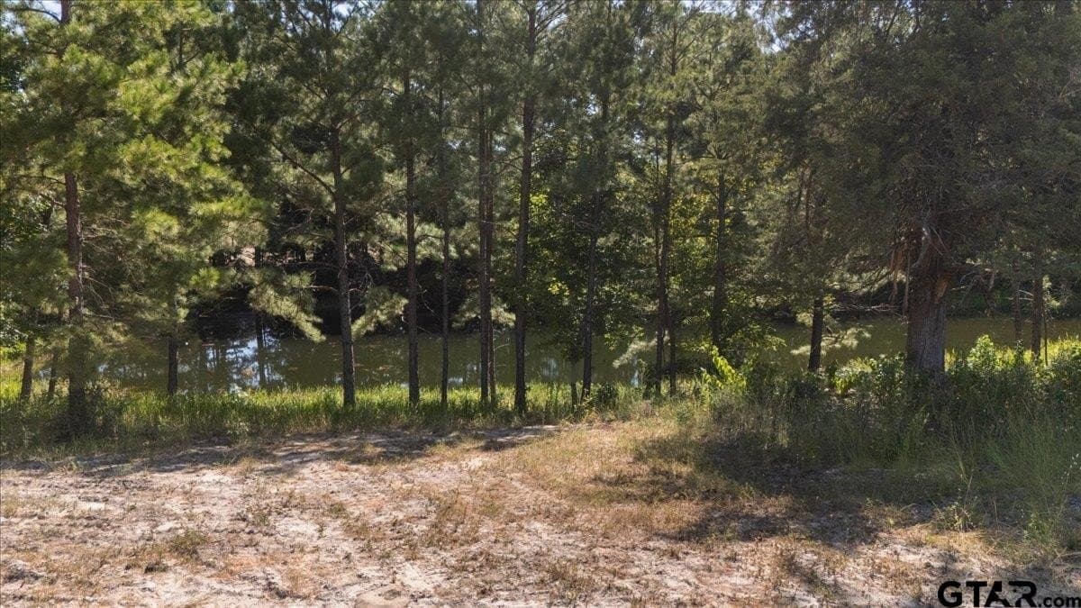 46.19 acres in Anderson County - photo 39