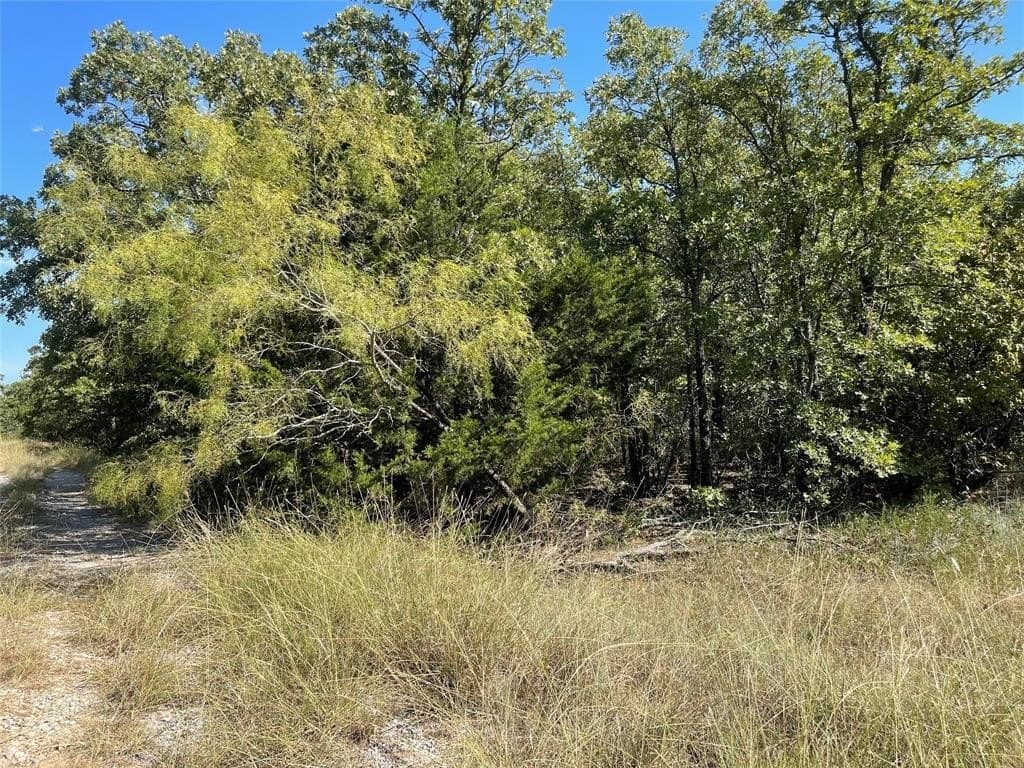 36 acres in Jack County gallery image 4