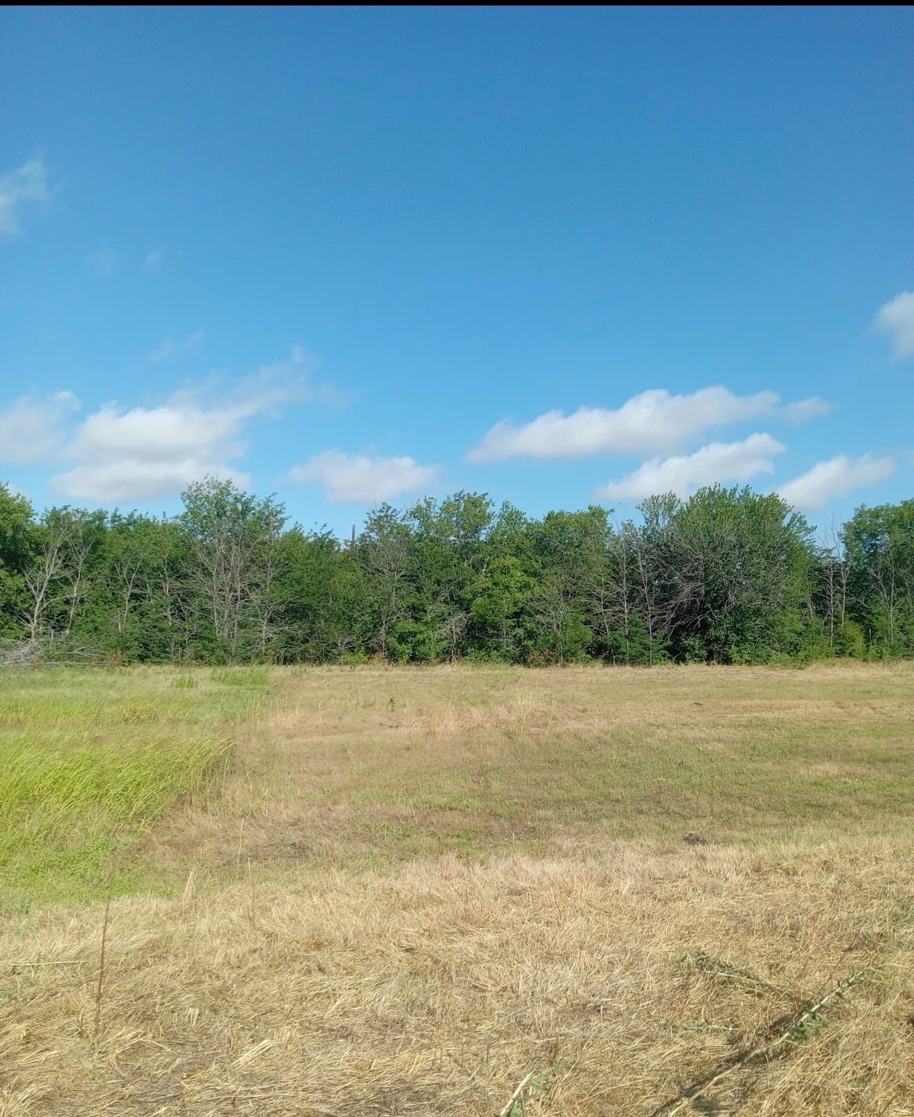 1.1 acres in Cooke County - photo 2