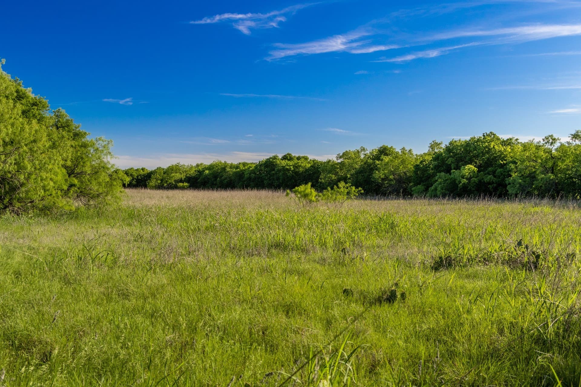 10.4 acres in Coleman County - photo 14