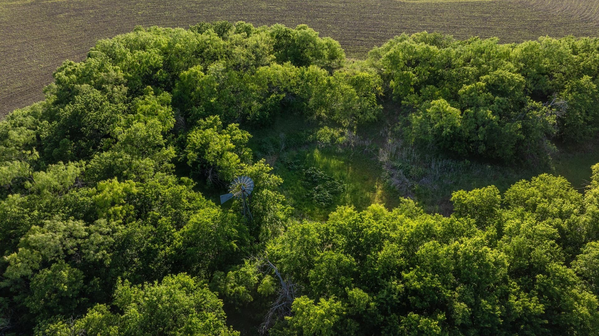 10.4 acres in Coleman County - photo 10
