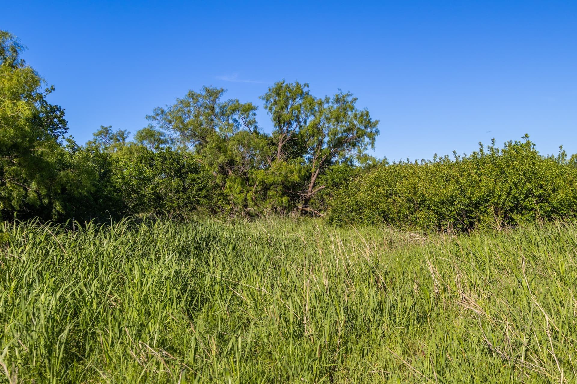 10.4 acres in Coleman County - photo 13