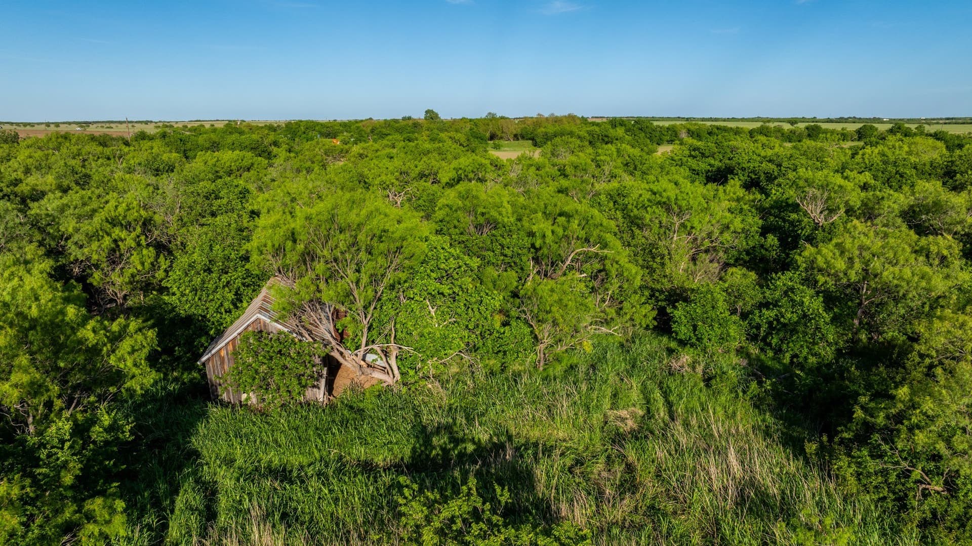 10.4 acres in Coleman County - photo 16