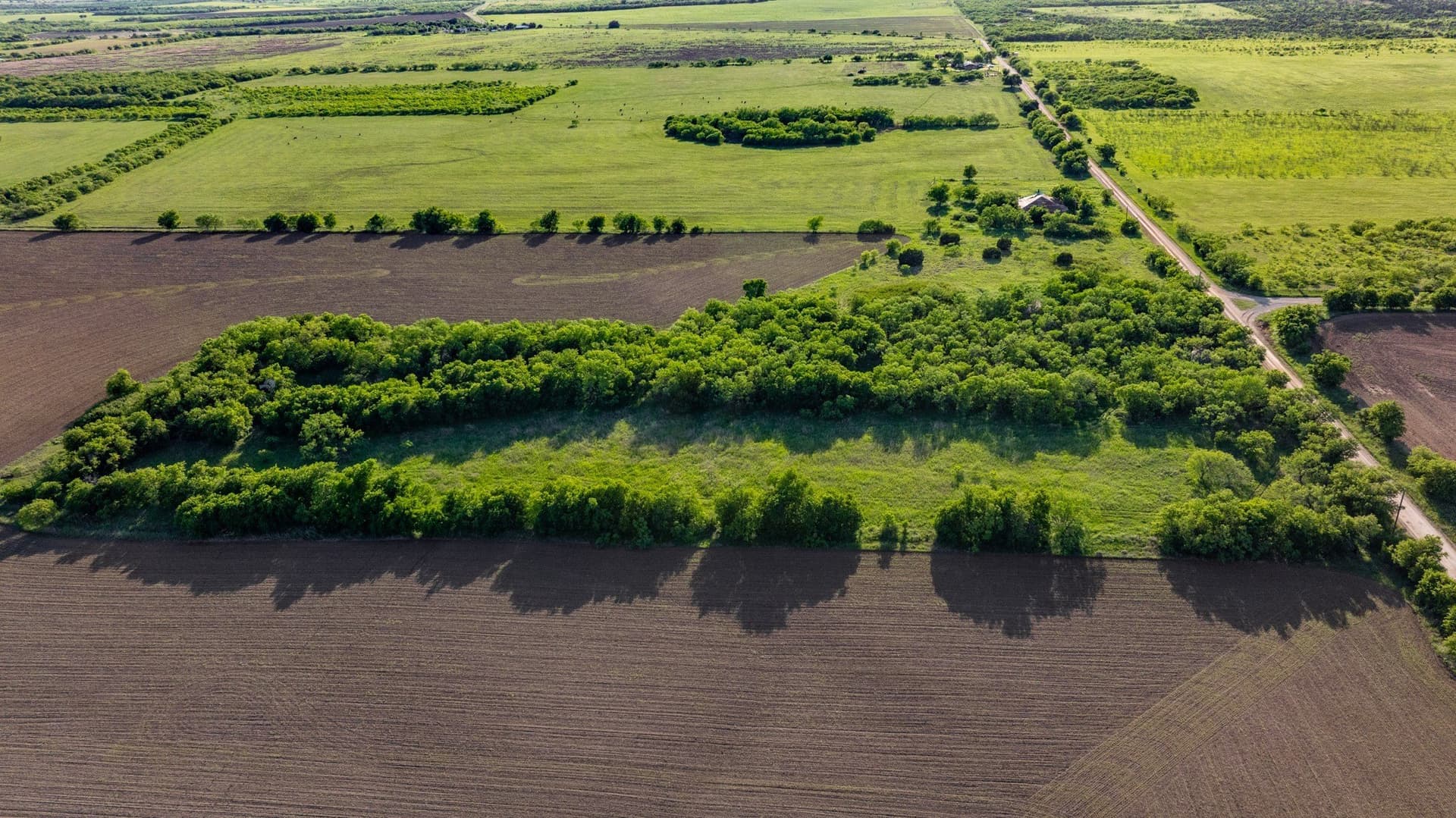 10.4 acres in Coleman County gallery image 2