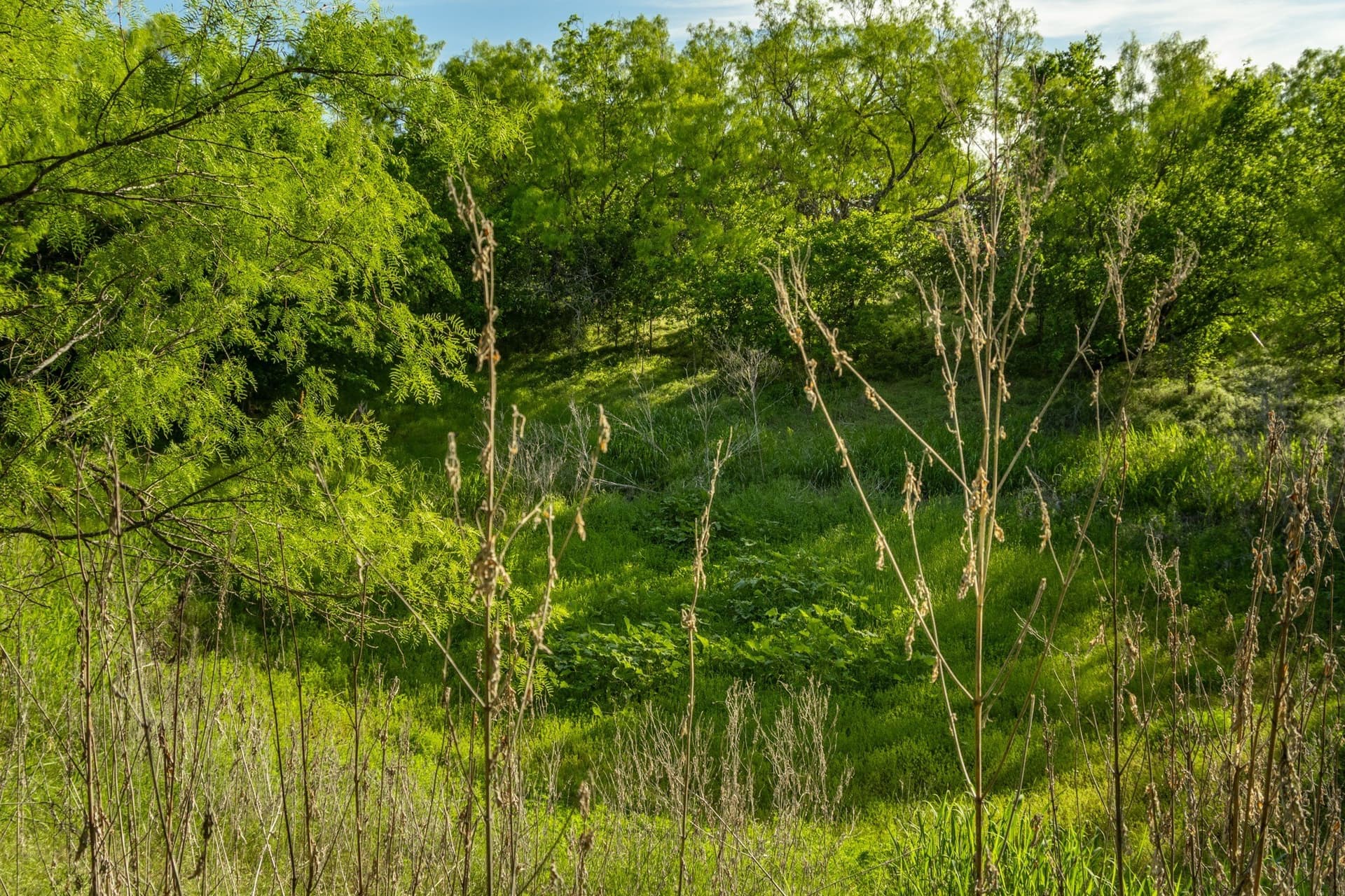 10.4 acres in Coleman County - photo 12