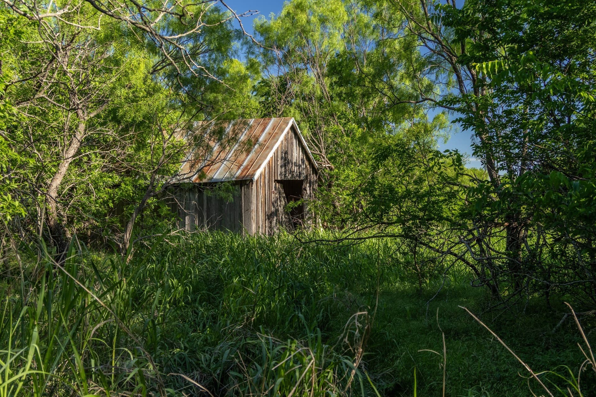 10.4 acres in Coleman County - photo 9