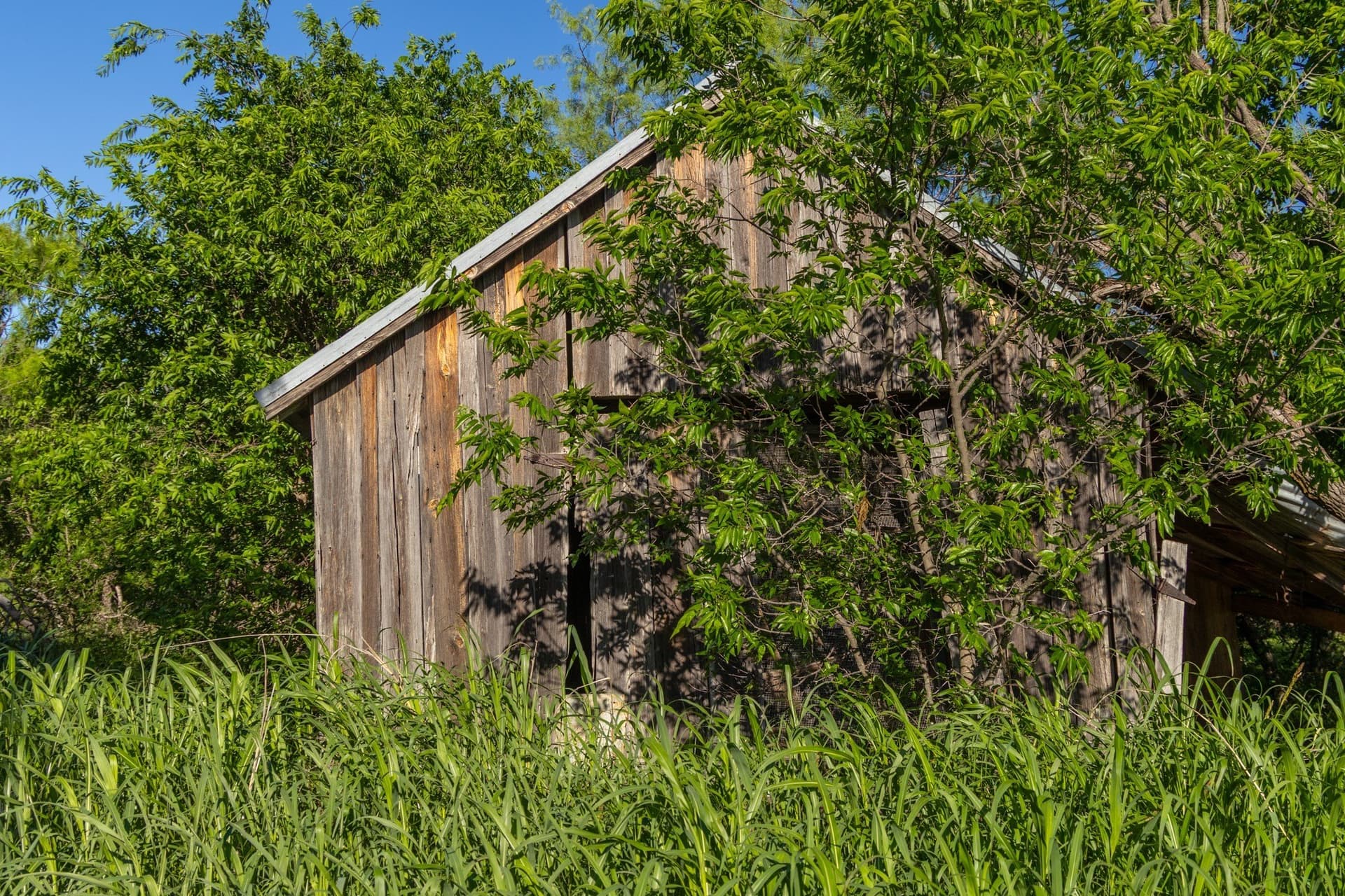 10.4 acres in Coleman County - photo 8
