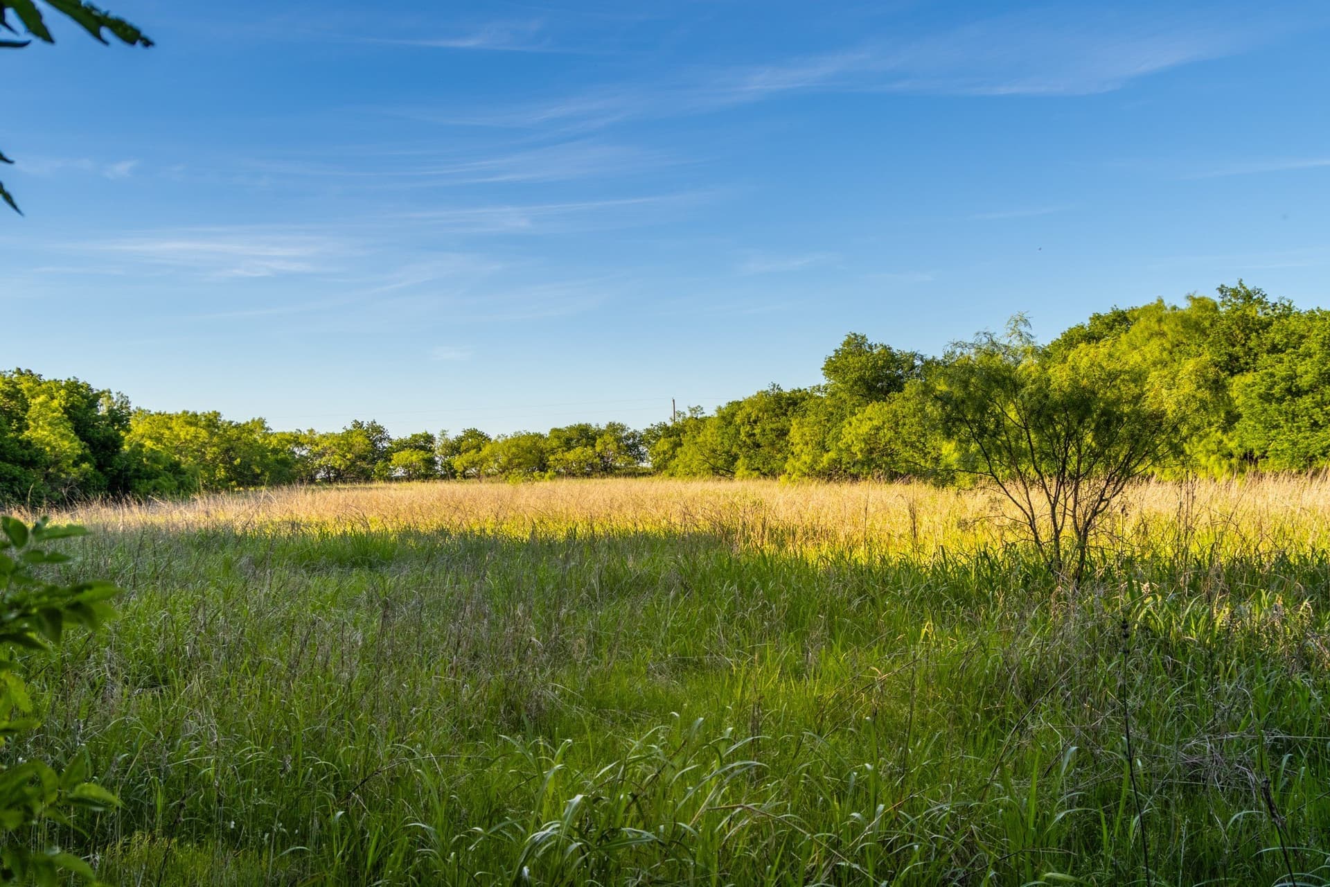 10.4 acres in Coleman County - photo 15