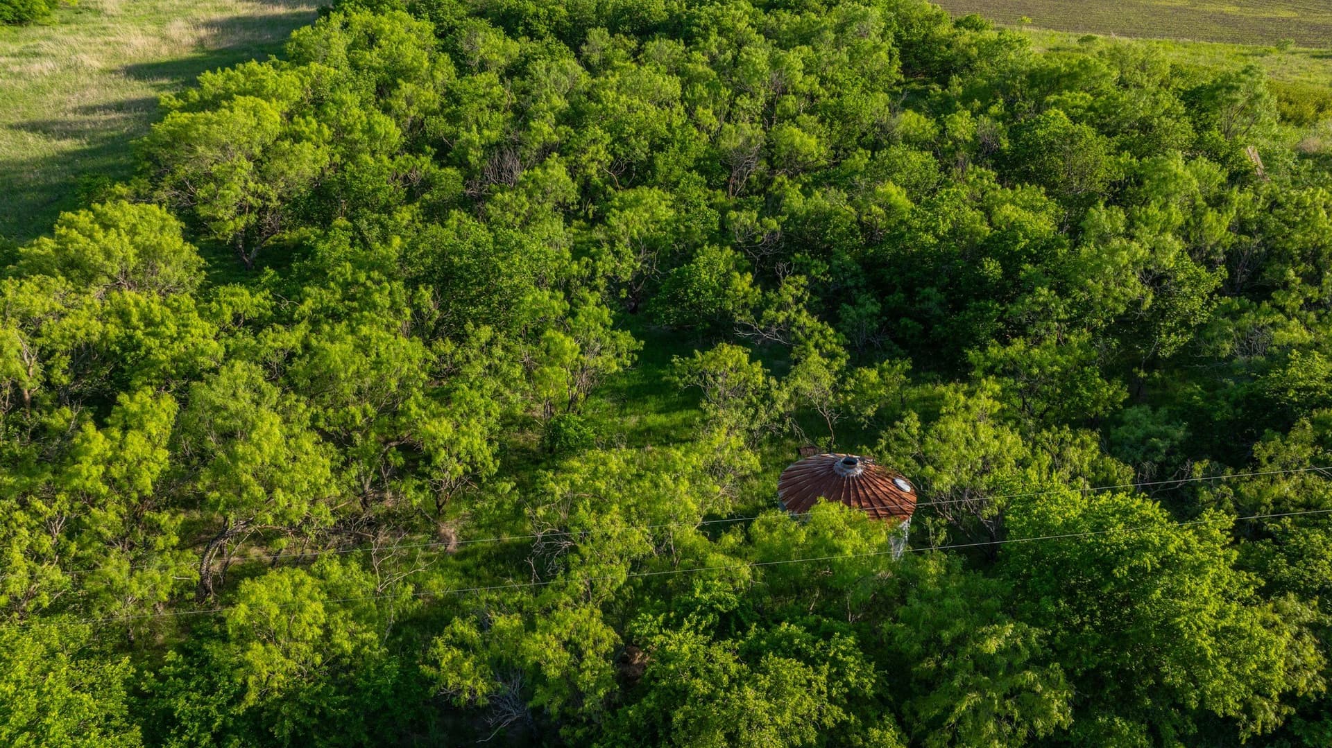 10.4 acres in Coleman County - photo 17