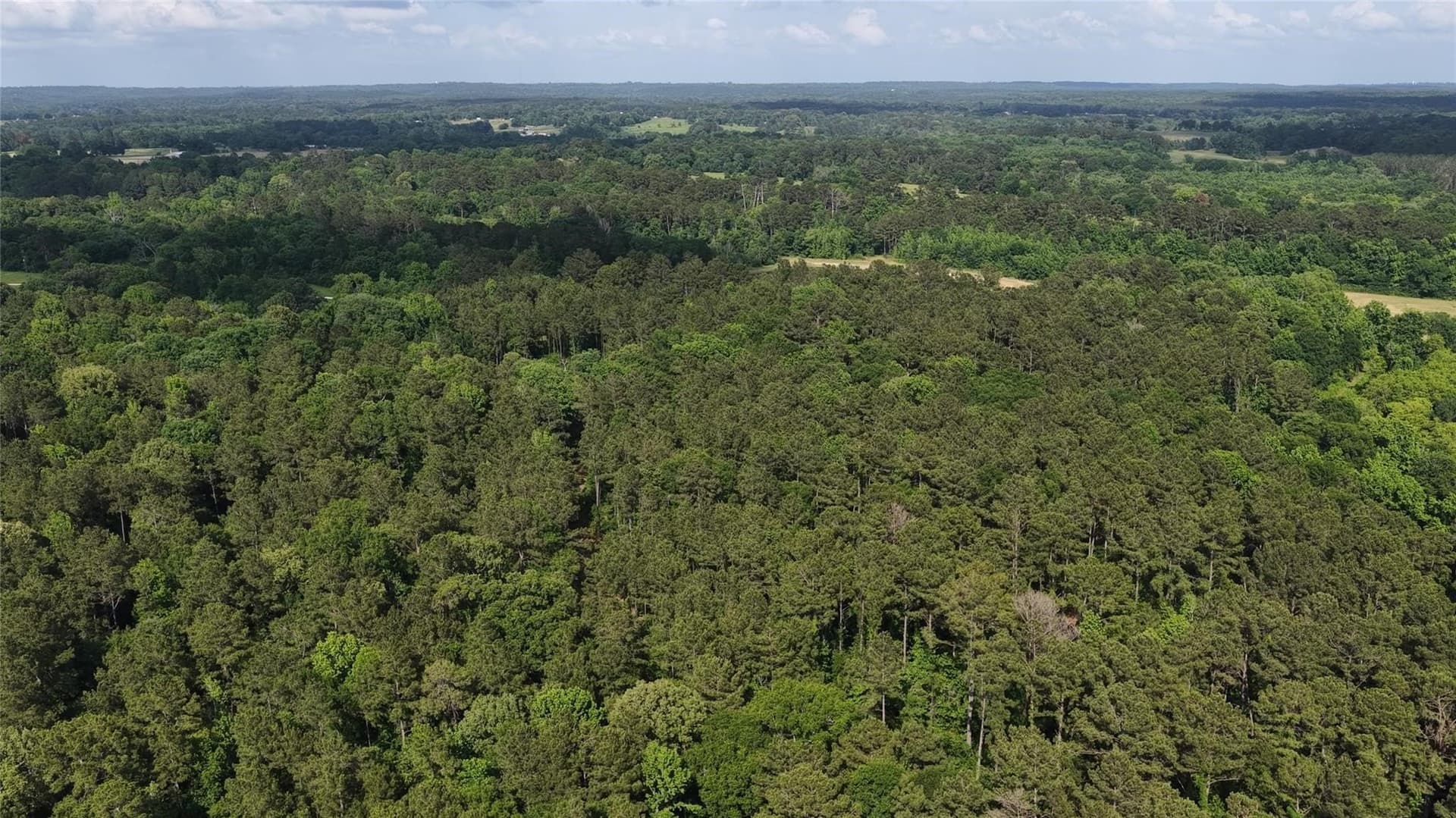 150.55 acres in Cherokee County - photo 8