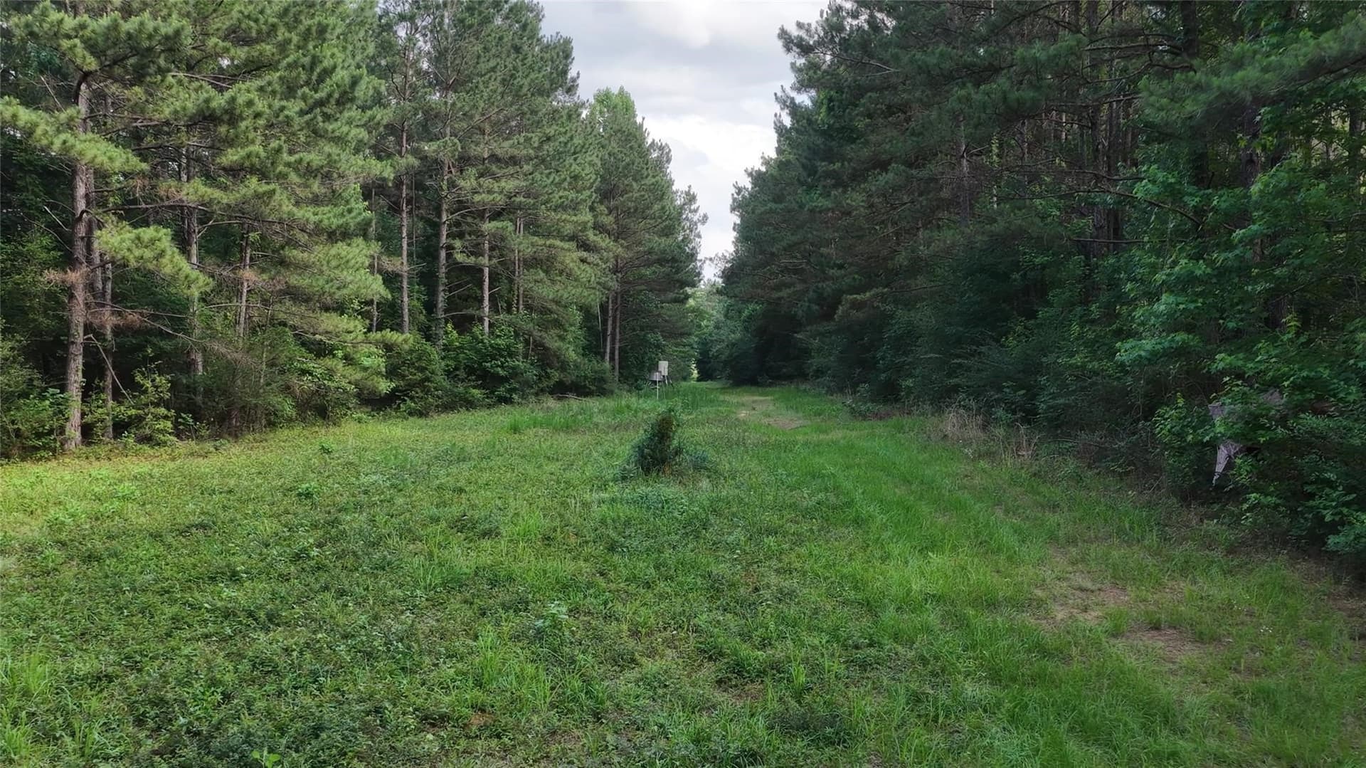 150.55 acres in Cherokee County - photo 10