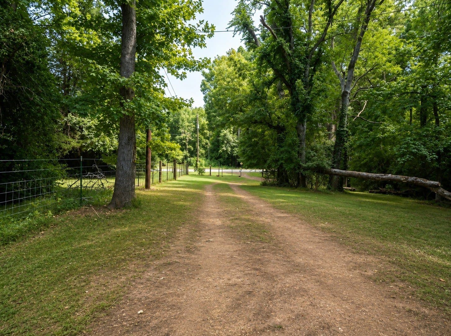 15.03 acres in Upshur County - photo 38