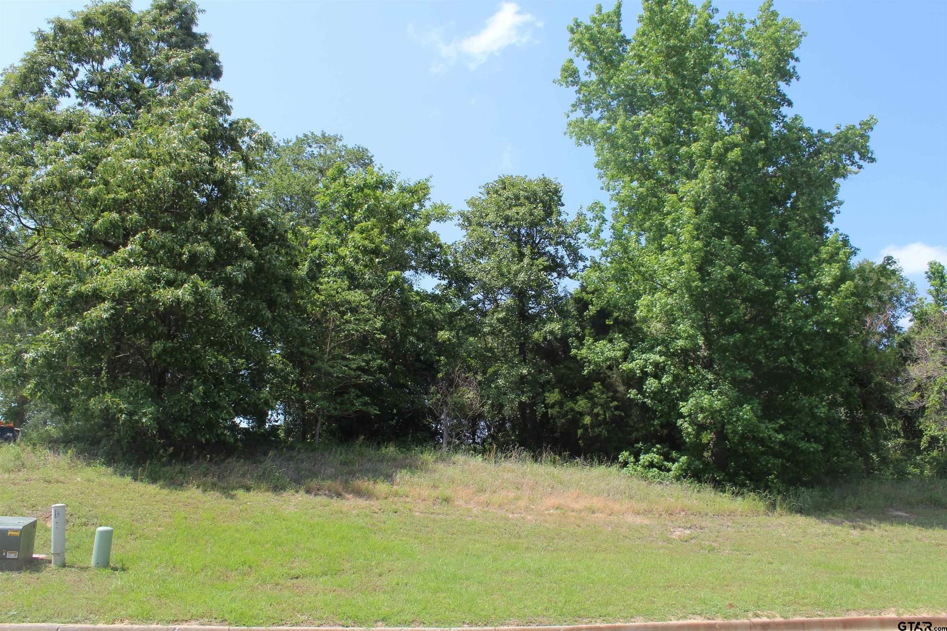 0.44 acres in Smith County gallery image 3